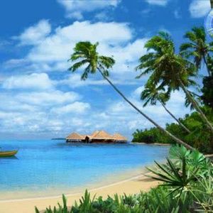 Meet your Posher, Rosemarie